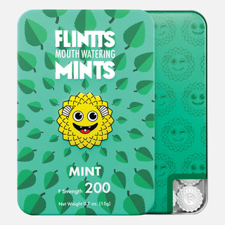 Flintts Mouthwatering Mint- Mint Flavour